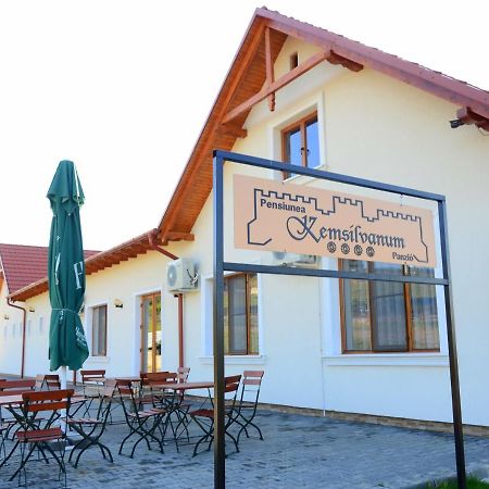 Pensiunea Kemsilvanum Fort Silvan Camar Ngoại thất bức ảnh